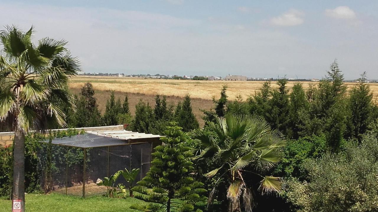Riad Tanjil Nouaceur エクステリア 写真