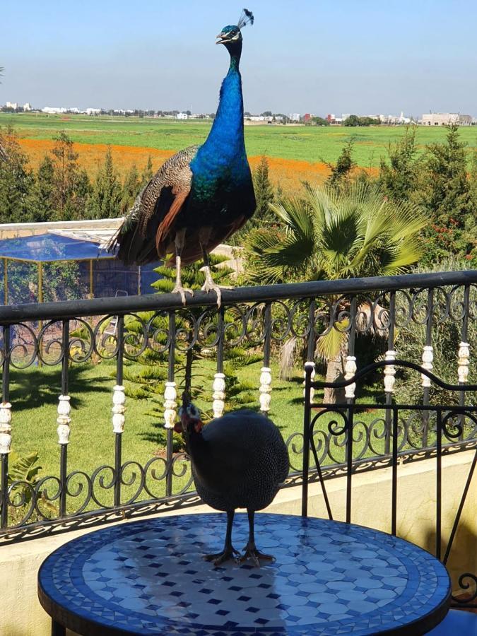 Riad Tanjil Nouaceur エクステリア 写真