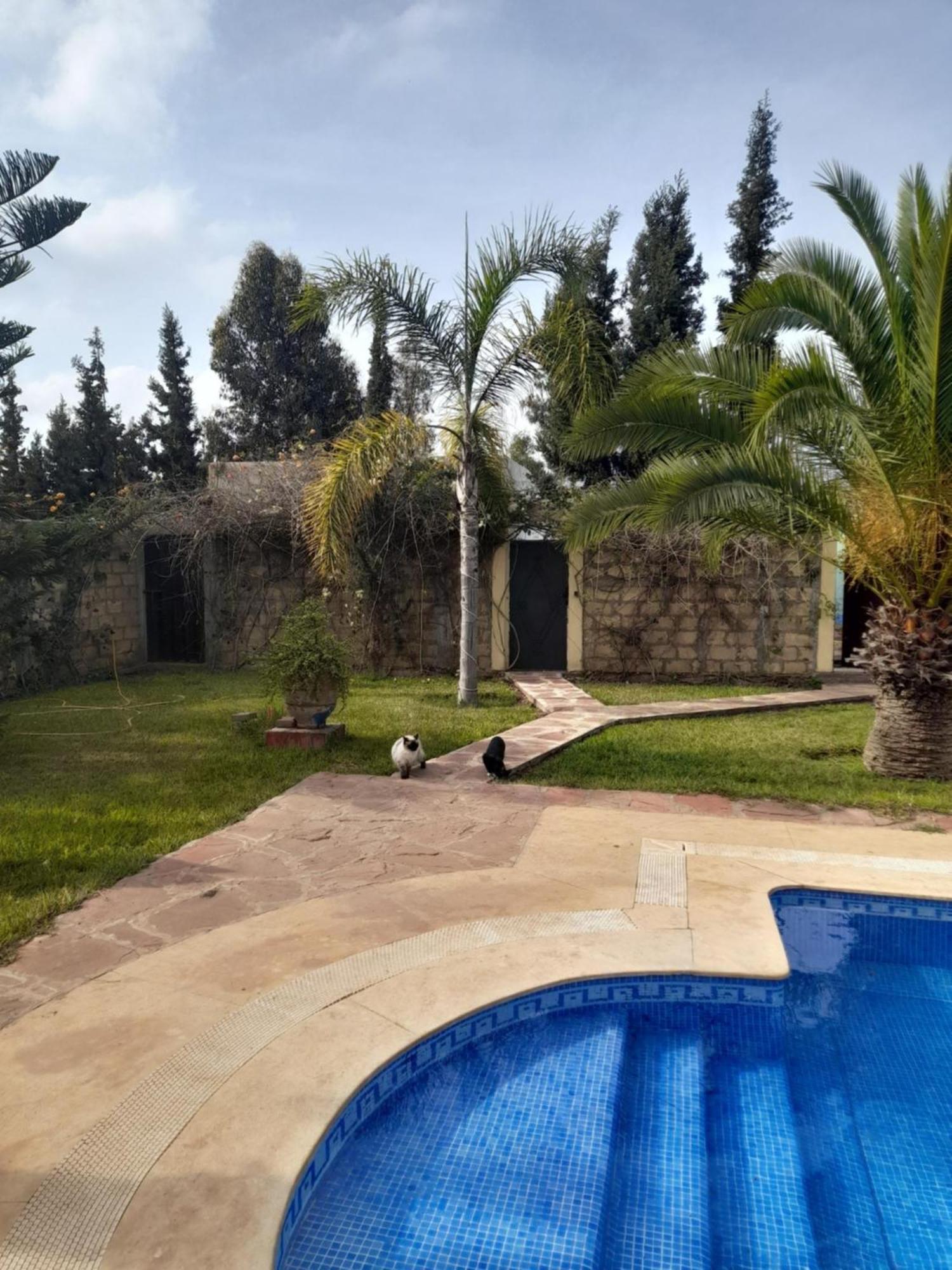 Riad Tanjil Nouaceur エクステリア 写真