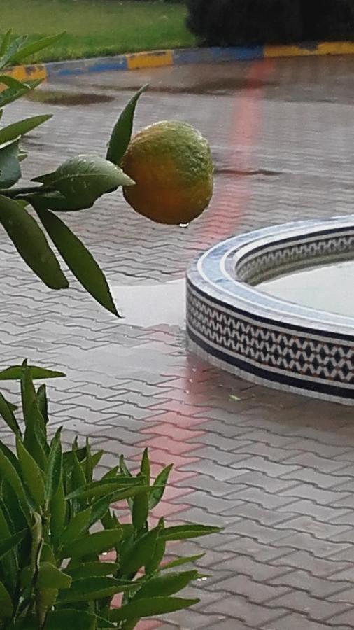 Riad Tanjil Nouaceur エクステリア 写真